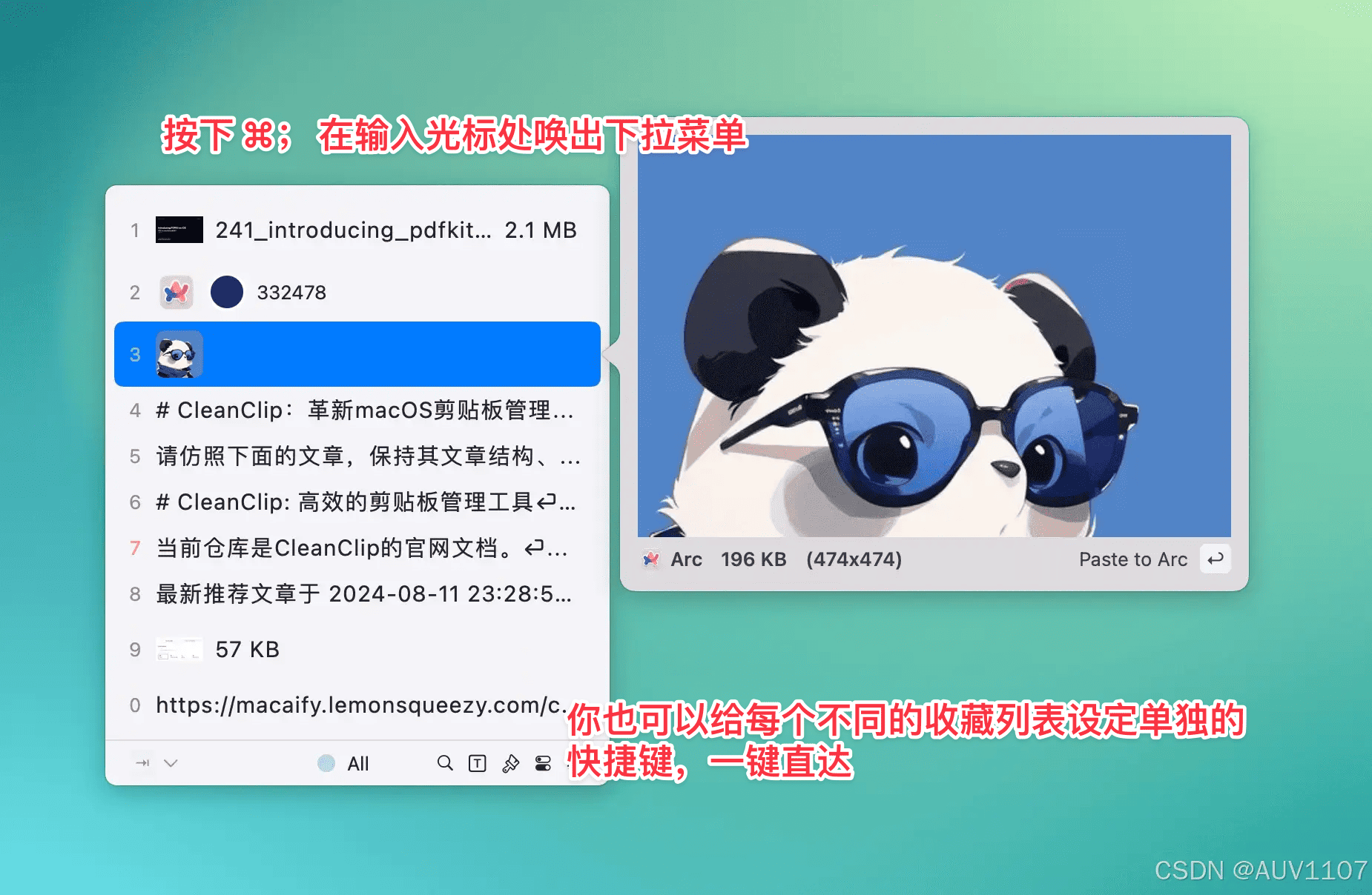 CleanClip Main Interface
